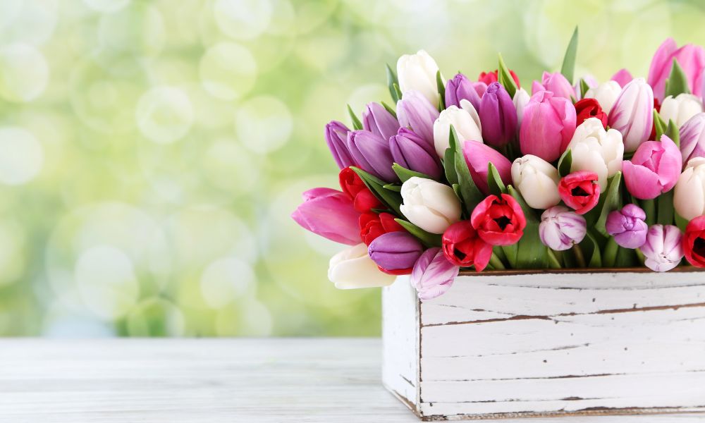 תמונה של מהפרח ועד הגלידה